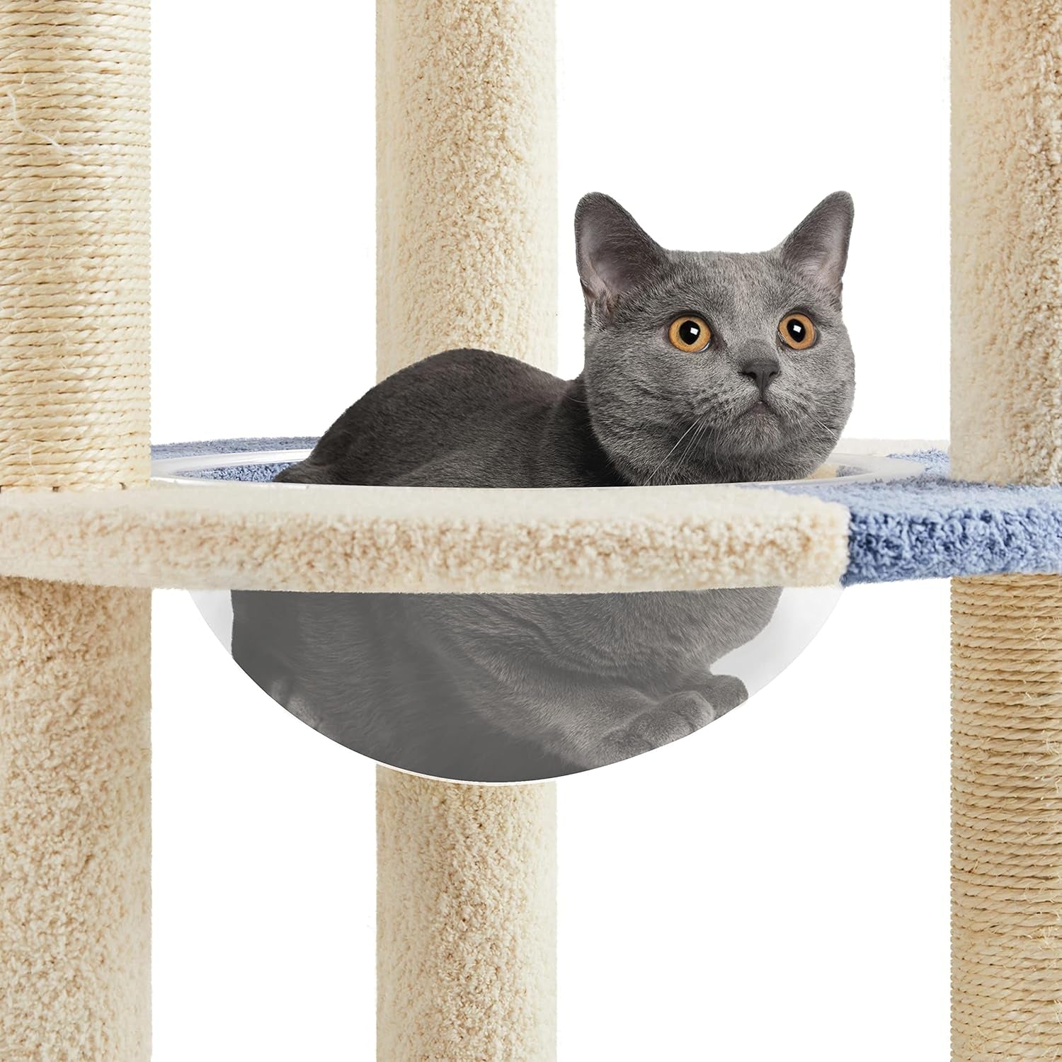 Cat Tree, 35.5In Cat Tower for Indoor Cats, Cat House with Scratching Posts &amp; Padded Perch &amp; Space Capsule, Cute Cat Tree, Cat Furniture for Kittens, Blue/Beige