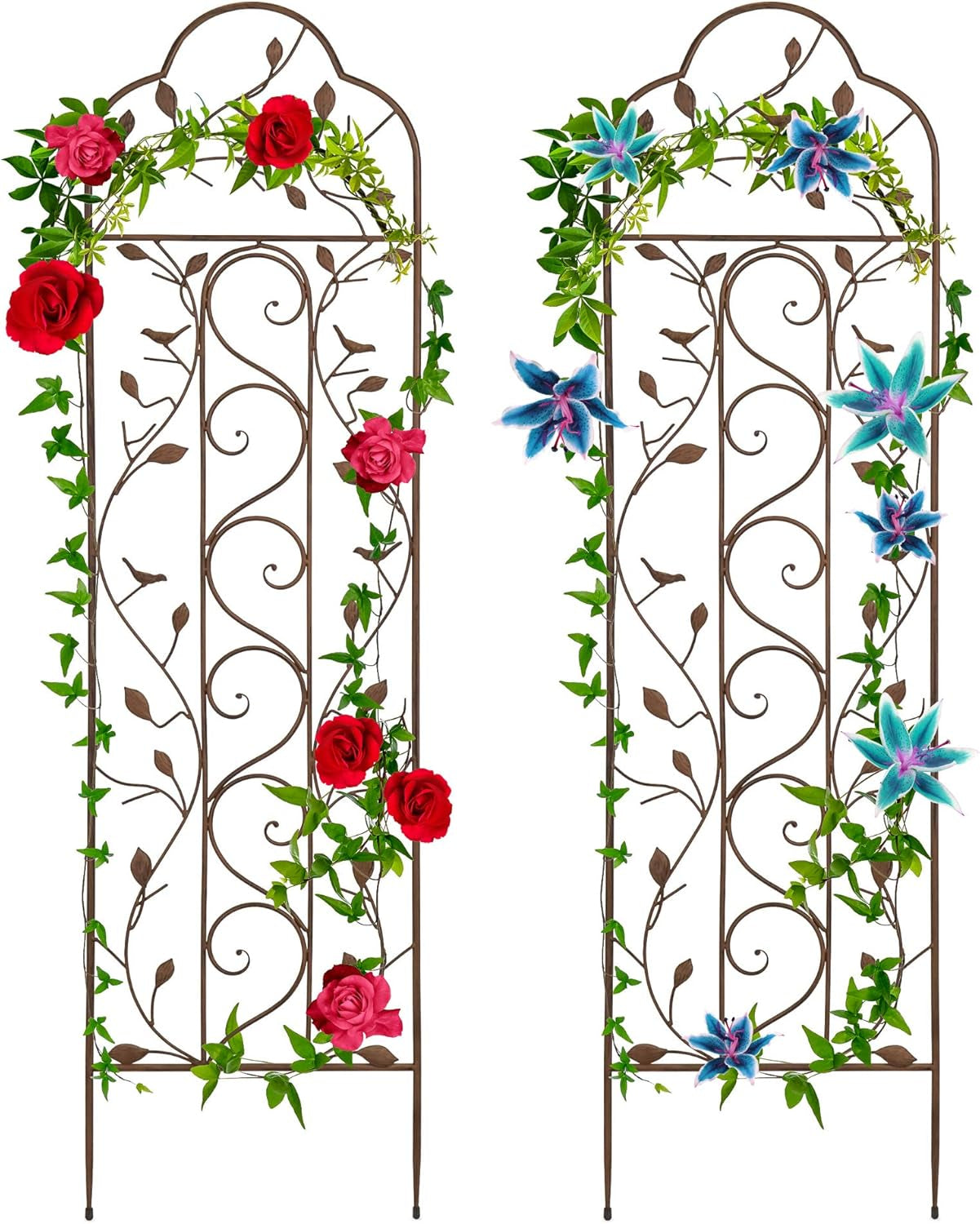 60X15In Iron Garden Trellis, Arched Outdoor Decoration W/Branches, Birds for Lawn, Garden, Backyard, Climbing Plants - Bronze