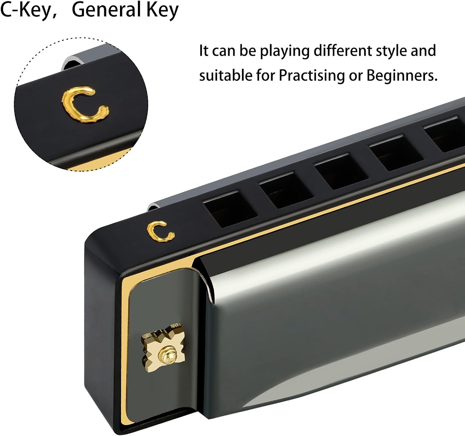 Blues Harmonica Mouth Organ 10 Hole C Key with Case, Diatonic Harmonica for Professional Player, Beginner, Students Gifts, Adult, Friends, Gift Black