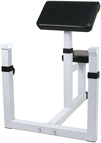 Preacher Curl Bench Arm Curl Weight Bench Weightlifting, Biceps Triceps Muscle Strength Training