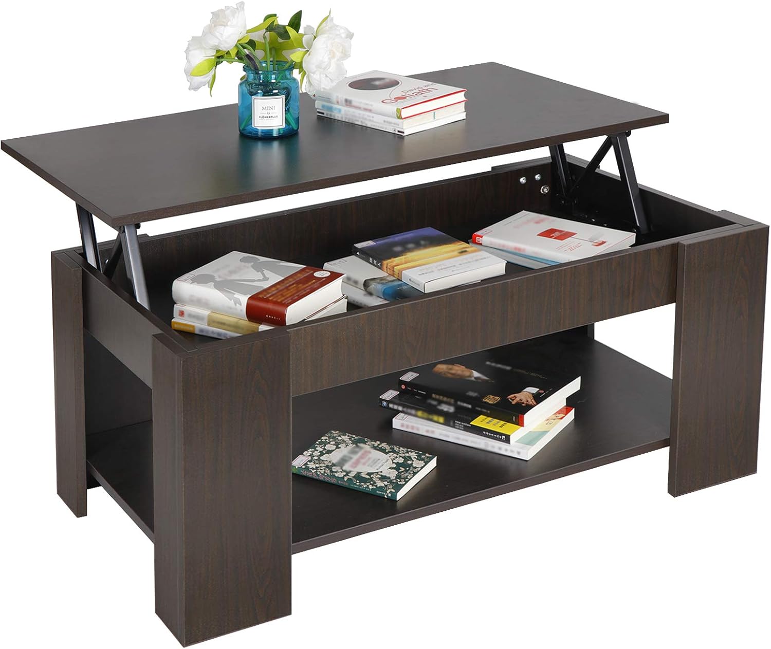 Lift Top Coffee Table with Hidden Compartment and Storage Shelves