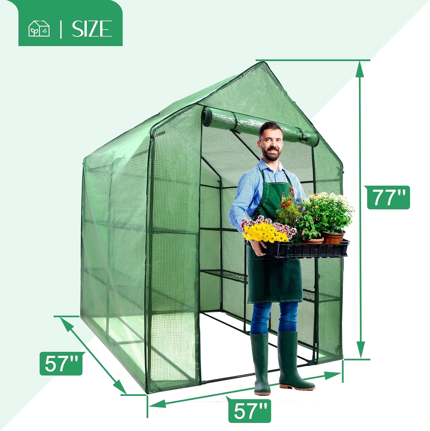 Portable Mini Walk-in Greenhouse with PE Cover and Roll-up Door