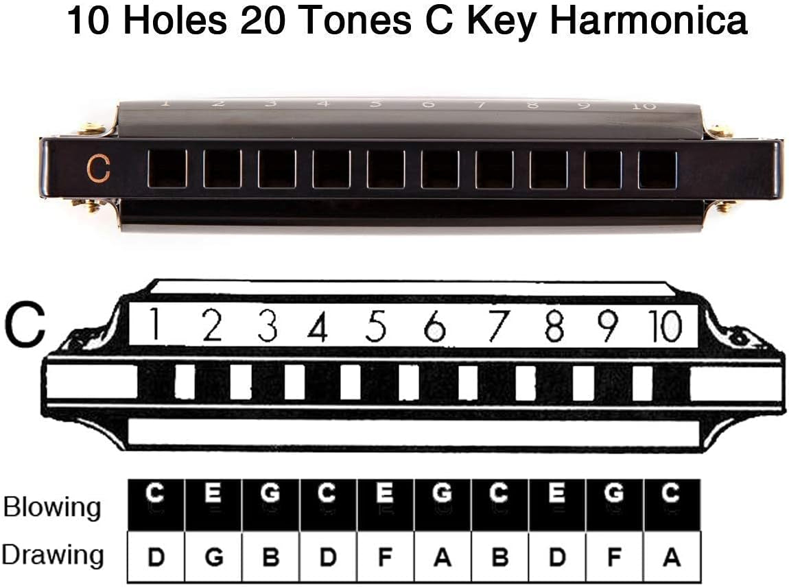 Blues Harmonica Mouth Organ 10 Hole C Key with Case, Diatonic Harmonica for Professional Player, Beginner, Students Gifts, Adult, Friends, Gift Black