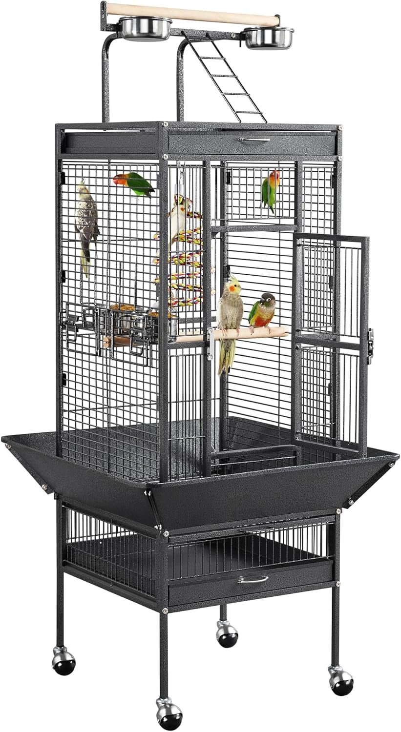 Wrought Iron Bird Cages, Play Top Large Aviary with Stand for Cockatiel Parrot Sun Parakeet Conures Lovebird Budgie Finch African Grey White, 61-Inch