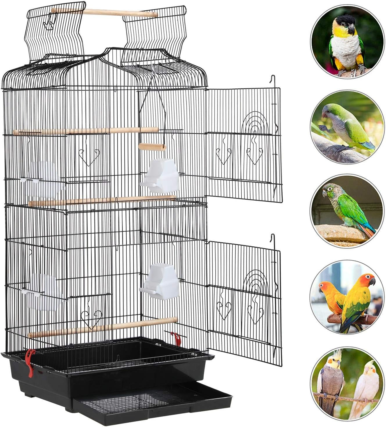 41-Inch Open Top Medium Bird Cages for Parakeets Finches Canaries Lovebirds Small Quaker Parrots Cockatiels Budgie Green Cheek Conure Travel Pet Flight Birdcage