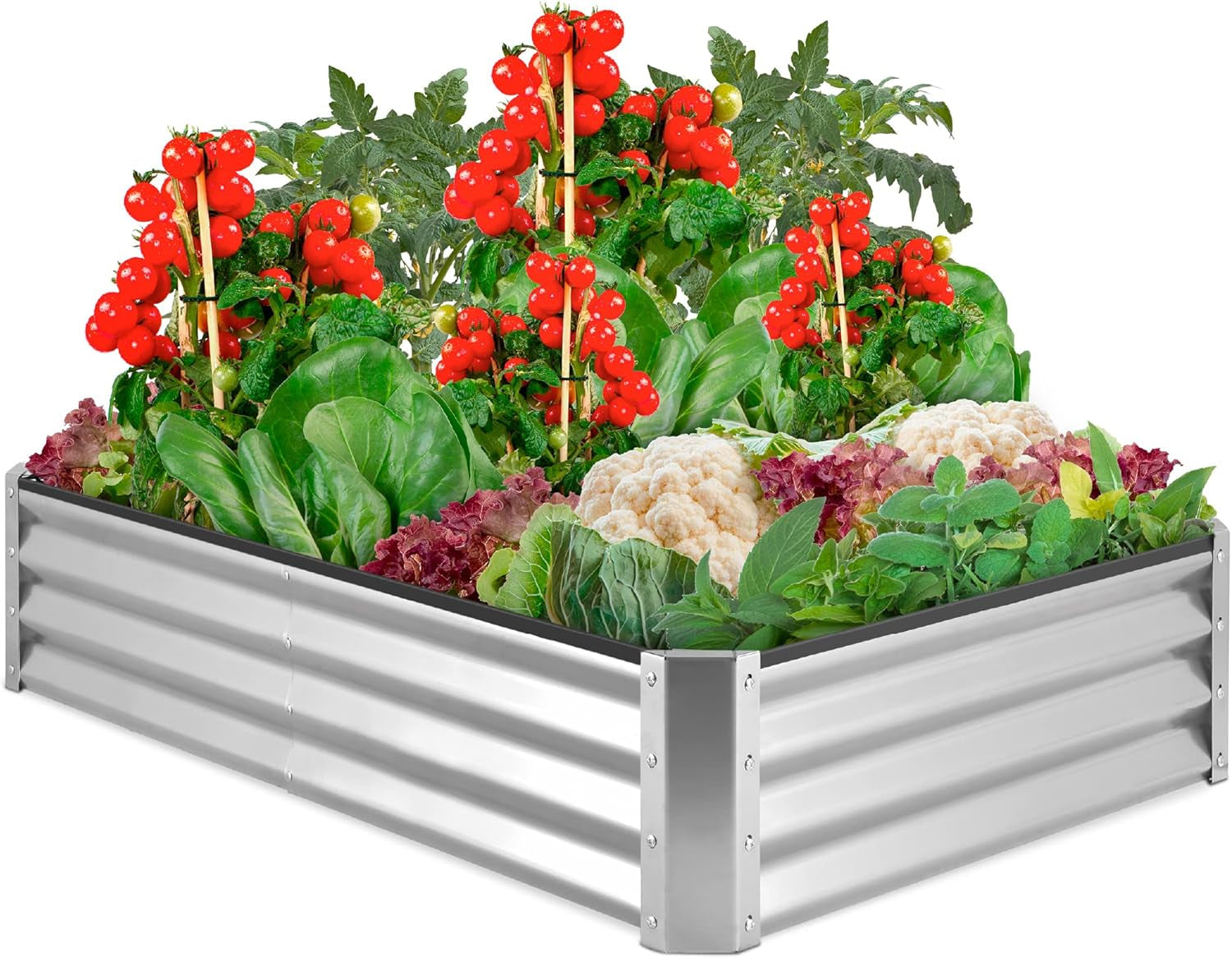 6X3X1Ft Outdoor Metal Raised Garden Bed Box Vegetable Planter for Vegetables, Flowers, Herbs, and Succulents - Dark Gray