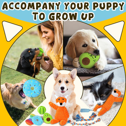 9 Pack Luxury Puppy Toys for Teething Small Dogs, Puppy Chew Toys with Cute Squeaky Dog Toys, Ball and More Rope Dog Chew Toys