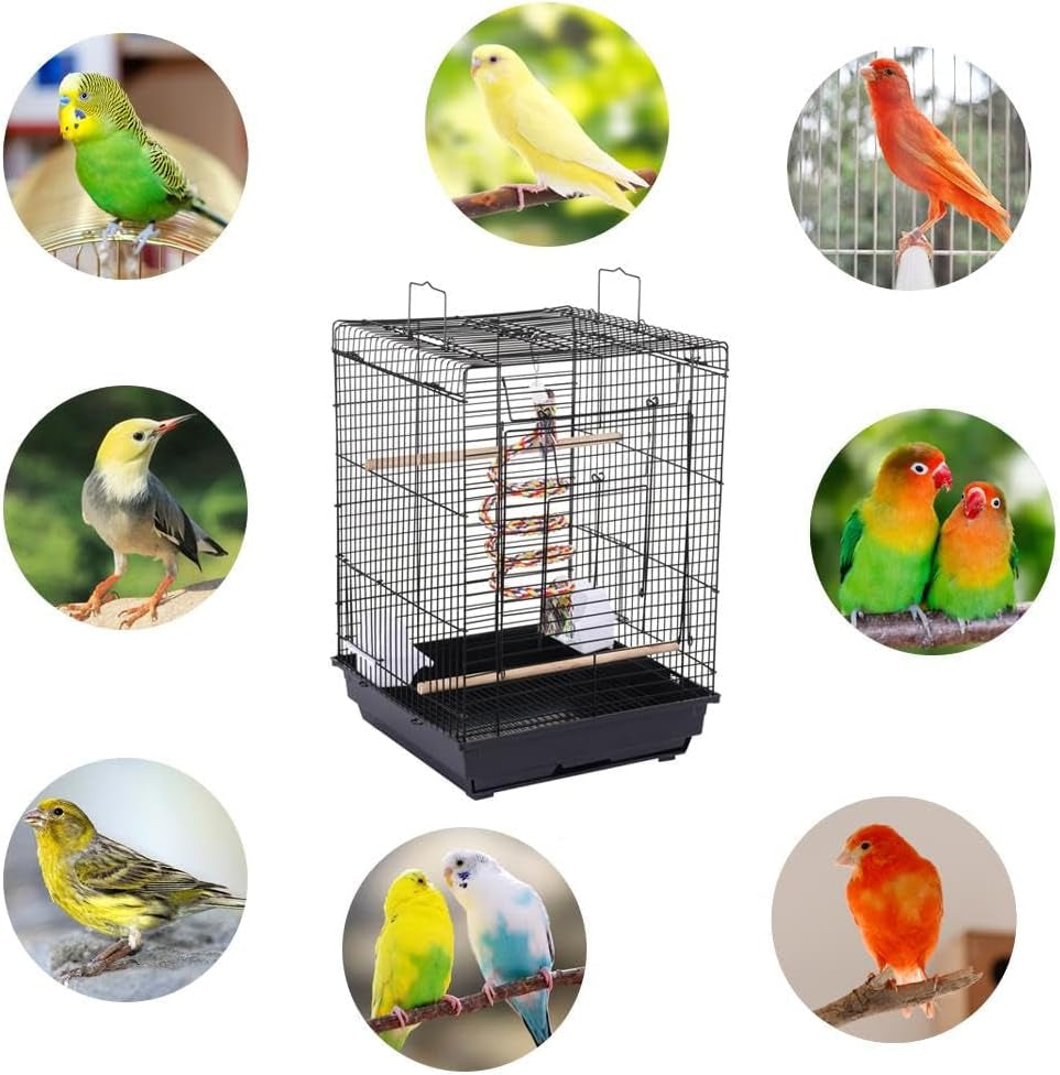 Open Play Top Travel Bird Cage for Conure Sun Parakeet Green Cheek Conure Lovebird Budgie Finch Canary, Small-Size Travel Portable