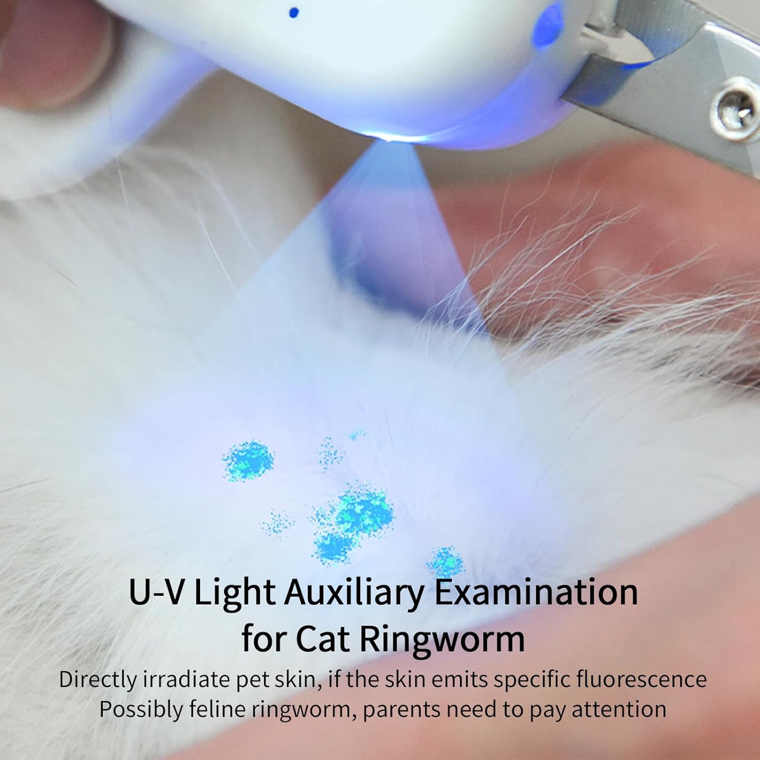 Pet Nail Clipper with LED &amp; -U-V Light, Cat Claw Trimmer with Ultra Bright LED Light for Nail Bloodline to Avoid over Cutting, Sharp Angled Blade Grooming Tool for Dog Cat Rabbit Small Animals