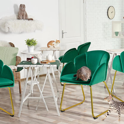 Velvet Dining Chair, Flower Shaped Armchair with Golden Legs, Upholstered Side Chair for Kitchen Dining Room Living Room, Set of 2, Green