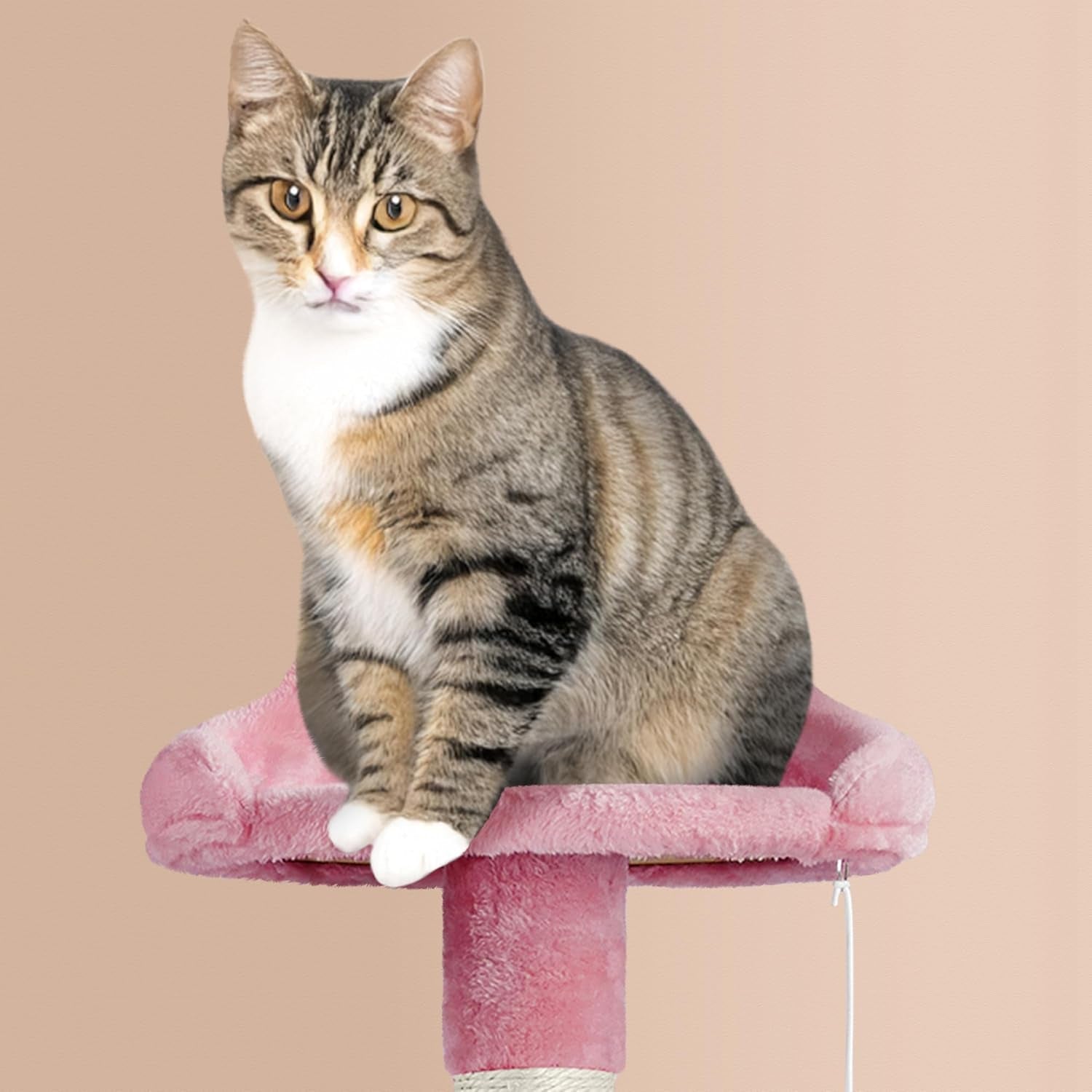 Multi-Level Cat Tree, Large Cat Tower with Condos Platform 64In, Cat House Cat Tree for Medium Cats Pink